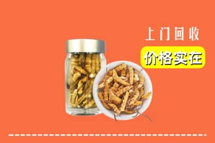 清丰县回收散虫草
