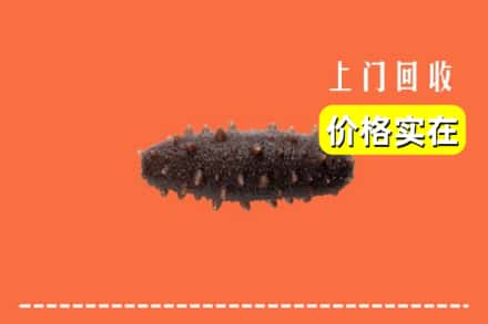 清丰县回收海参