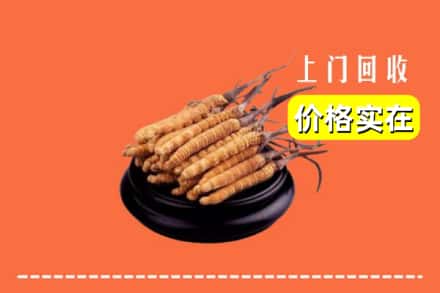 清丰县回收冬虫夏草